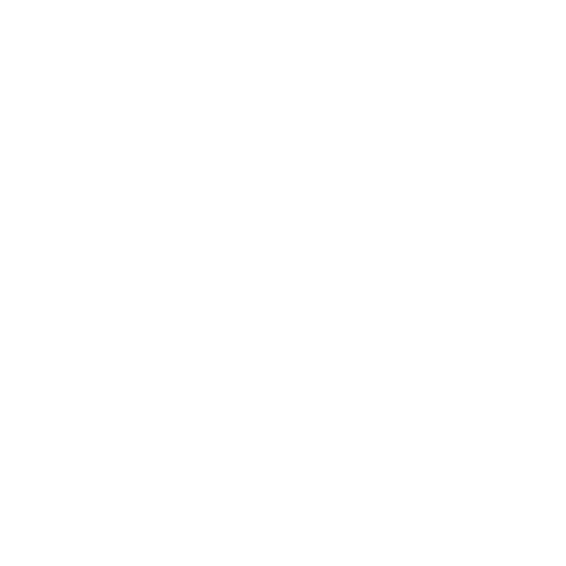 weisses Logo der österreichischen Celtic Folk Band All Souls Night